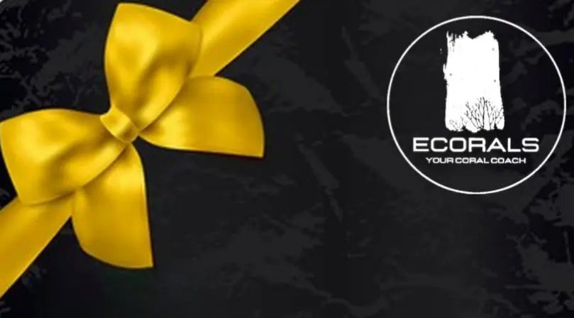 Gift Cards - Ecorals - Vendita Coralli Online