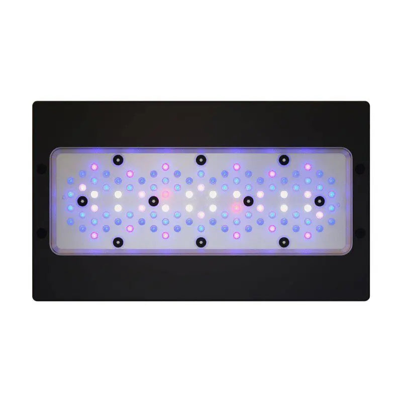 Ecotech Radion XR30w G6 Blue - Ecorals - Vendita Coralli Online