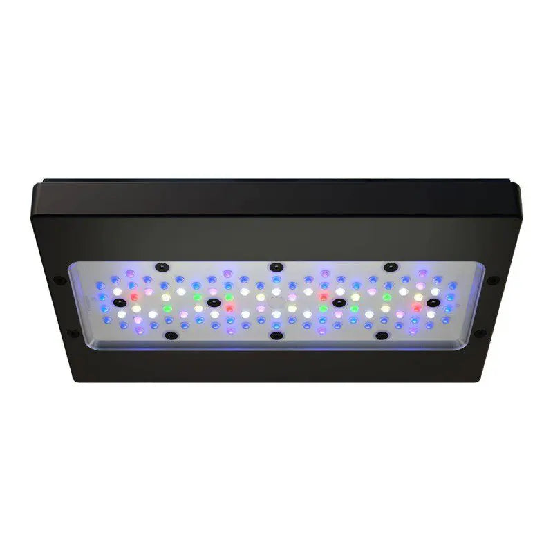 Ecotech Radion XR30w G6 Pro - Ecorals - Vendita Coralli Online