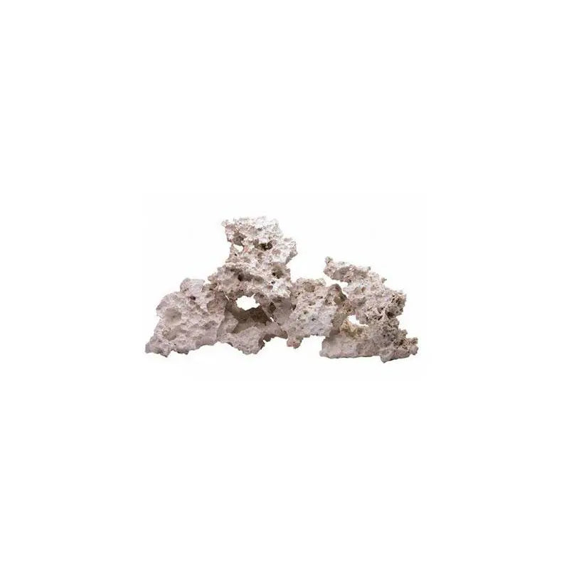 South Seas Base Rock - Ecorals - Vendita Coralli Online