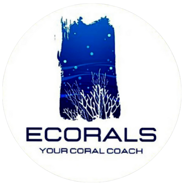 Ecorals - Vendita Coralli Online